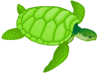 A giant sea-turtle