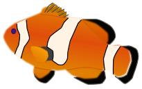 A clown fish