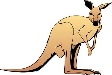 A standing kangaroo