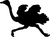 Running ostrich silhouette